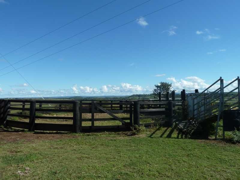 167 Webbs Road, Kyogle NSW 2474