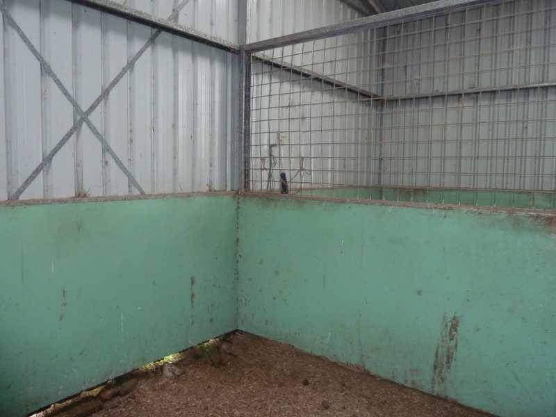 167 Webbs Road, Kyogle NSW 2474