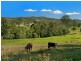 4 Lamberton Lane Ettrick Via, Kyogle NSW 2474