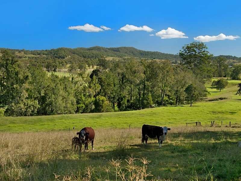 4 Lamberton Lane Ettrick Via, Kyogle NSW 2474