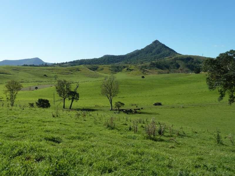 1038 Summerland Way, Kyogle NSW 2474