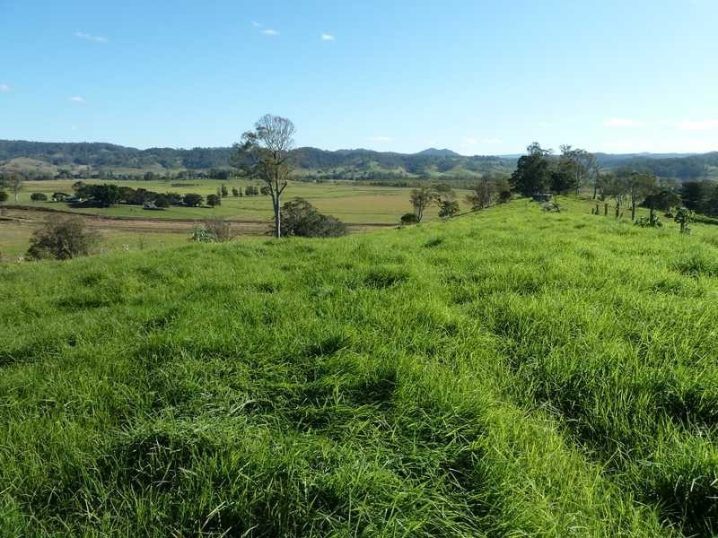 1038 Summerland Way, Kyogle NSW 2474