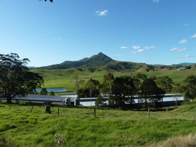 1038 Summerland Way, Kyogle NSW 2474