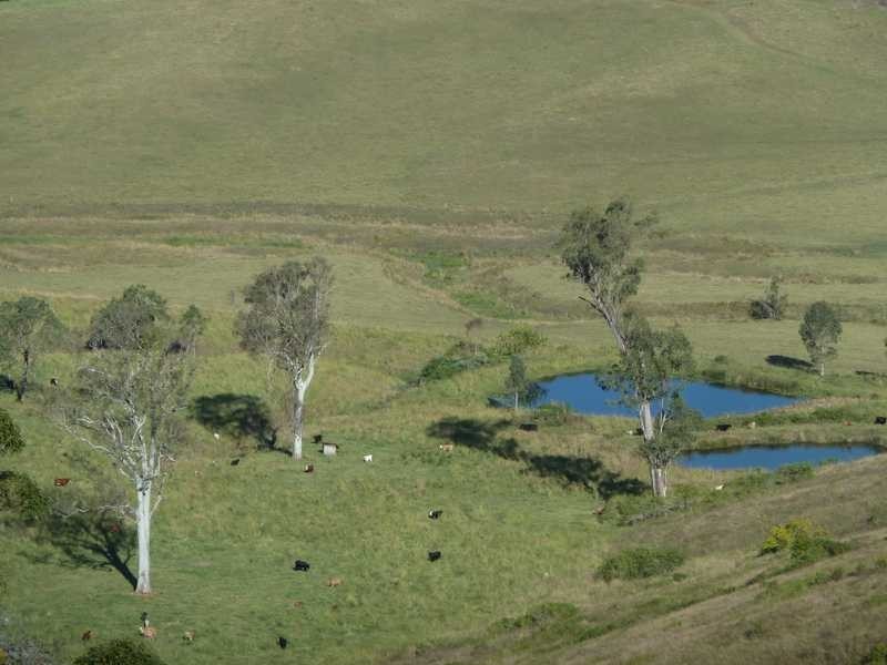 1038 Summerland Way, Kyogle NSW 2474