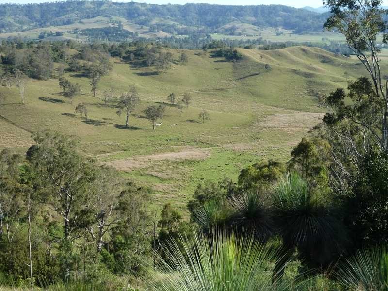 1038 Summerland Way, Kyogle NSW 2474