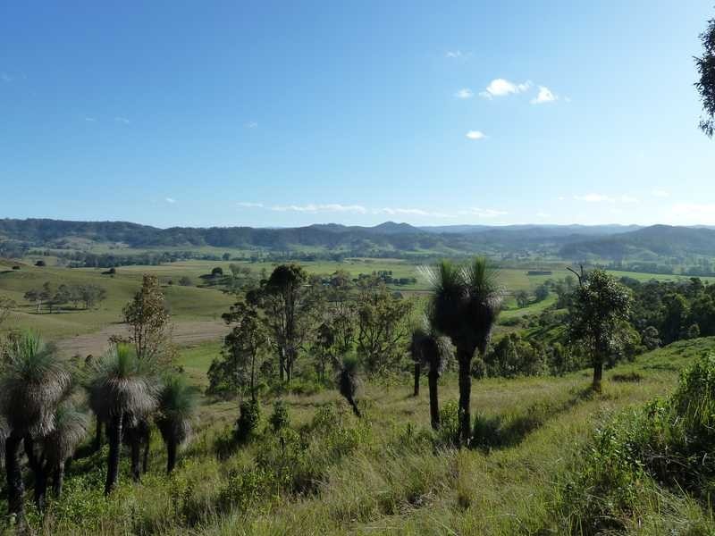 1038 Summerland Way, Kyogle NSW 2474