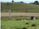 1038 Summerland Way, Kyogle NSW 2474