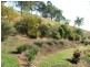 116 Boorabee Creek Road Boorabee Park Via, Kyogle NSW 2474