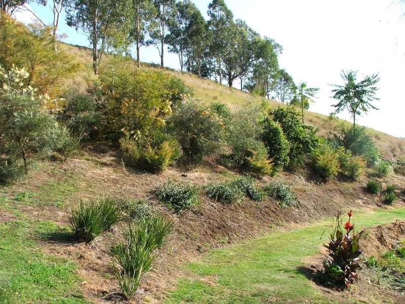 116 Boorabee Creek Road Boorabee Park Via, Kyogle NSW 2474