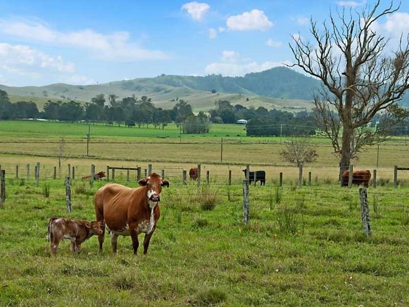 Howard Court, Kyogle NSW 2474
