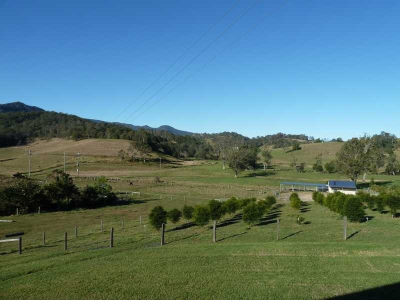 1445 Collins Creek Road Collins Creek via, Kyogle NSW 2474