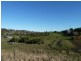 1445 Collins Creek Road Collins Creek via, Kyogle NSW 2474