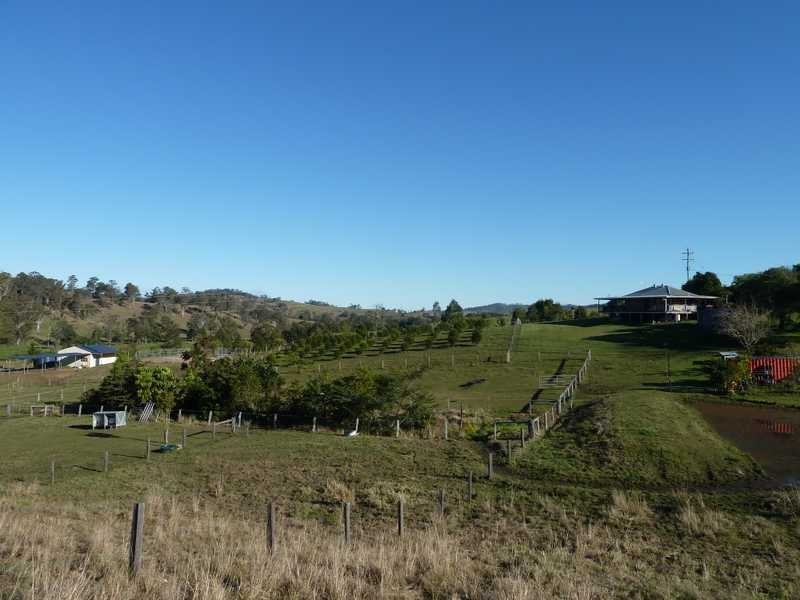 1445 Collins Creek Road Collins Creek via, Kyogle NSW 2474