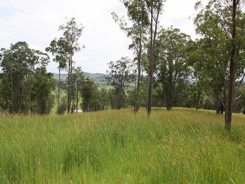 Kyogle NSW 2474