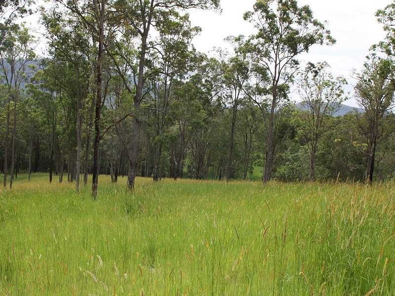 Kyogle NSW 2474