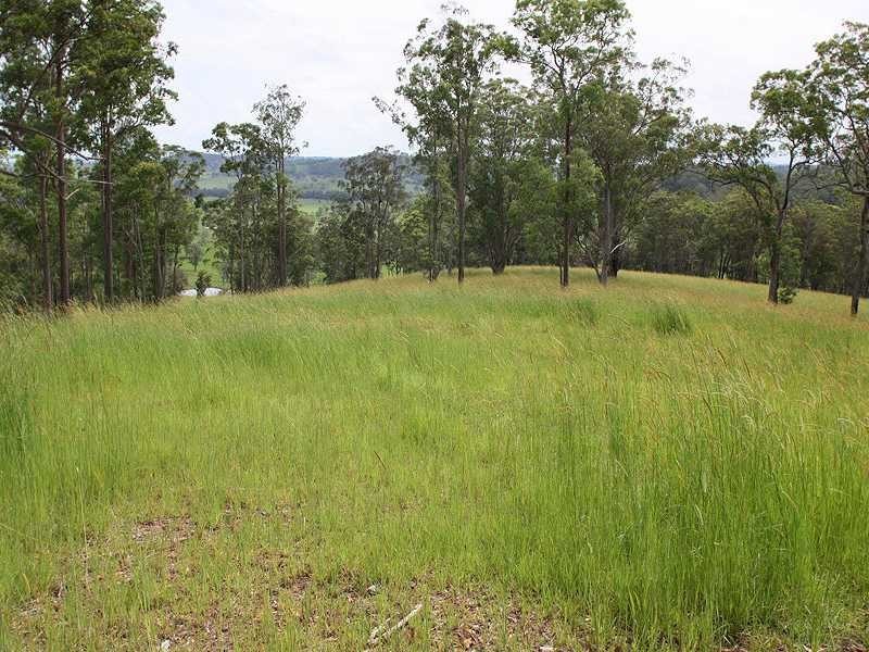 Kyogle NSW 2474
