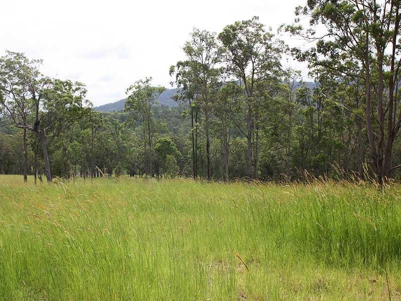Kyogle NSW 2474