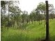 Kyogle NSW 2474