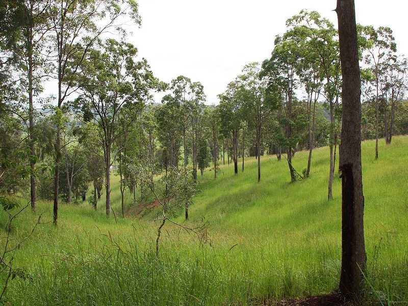 Kyogle NSW 2474
