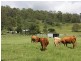 Kyogle NSW 2474