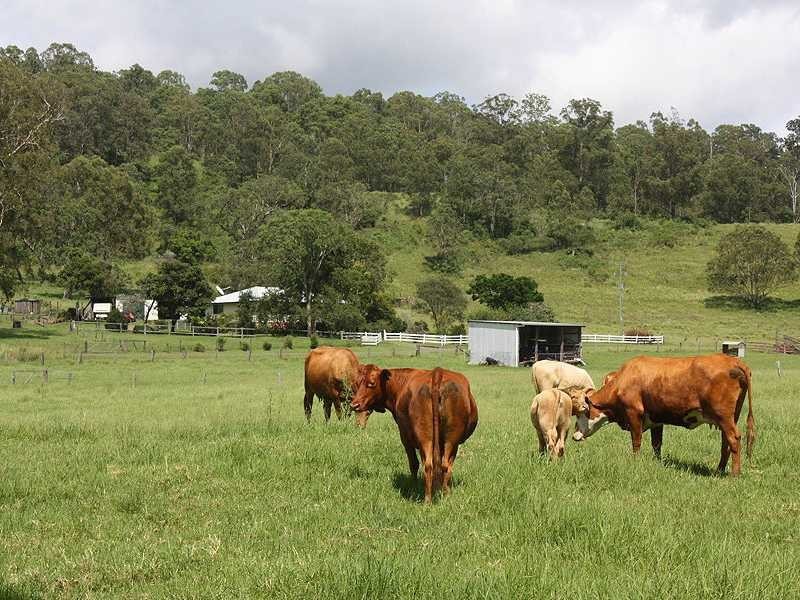 Kyogle NSW 2474