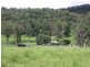 Kyogle NSW 2474