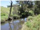 Kyogle NSW 2474
