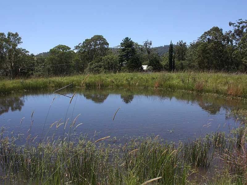 Kyogle NSW 2474