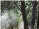 Kyogle NSW 2474