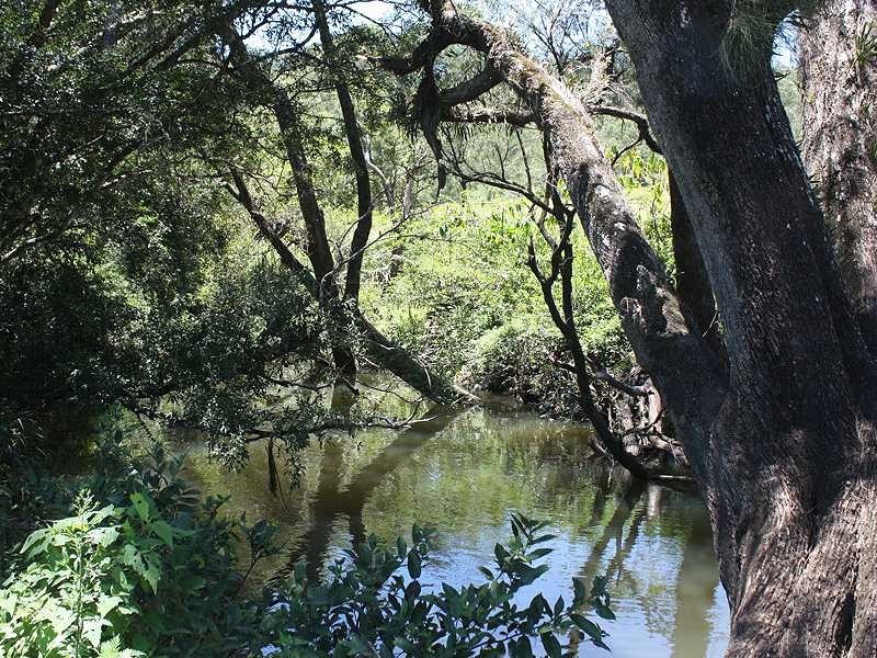 Kyogle NSW 2474