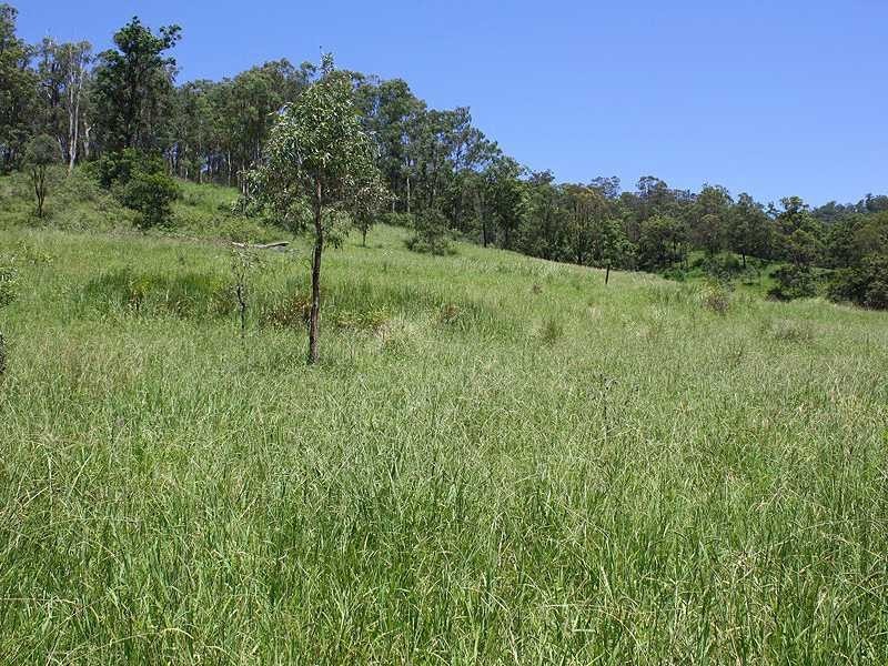 2151 Summerland Way Rukenvale Via, Kyogle NSW 2474