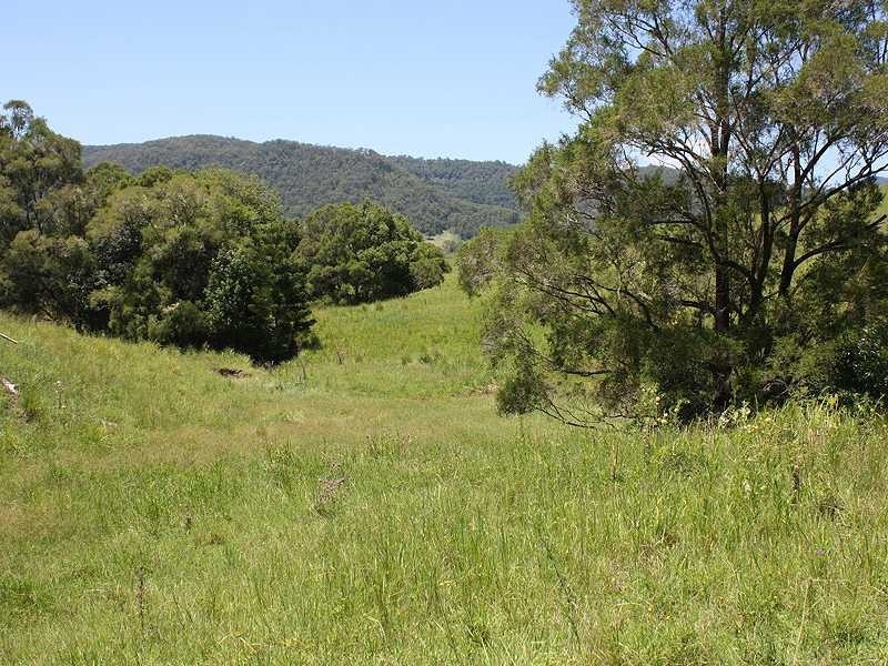 2151 Summerland Way Rukenvale Via, Kyogle NSW 2474