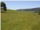 2151 Summerland Way Rukenvale Via, Kyogle NSW 2474