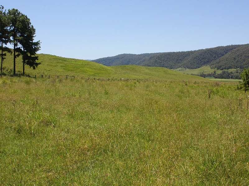 2151 Summerland Way Rukenvale Via, Kyogle NSW 2474