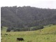 2151 Summerland Way Rukenvale Via, Kyogle NSW 2474