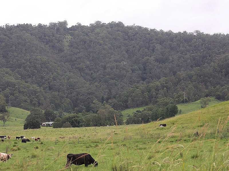 2151 Summerland Way Rukenvale Via, Kyogle NSW 2474