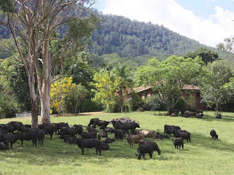 Kyogle NSW 2474