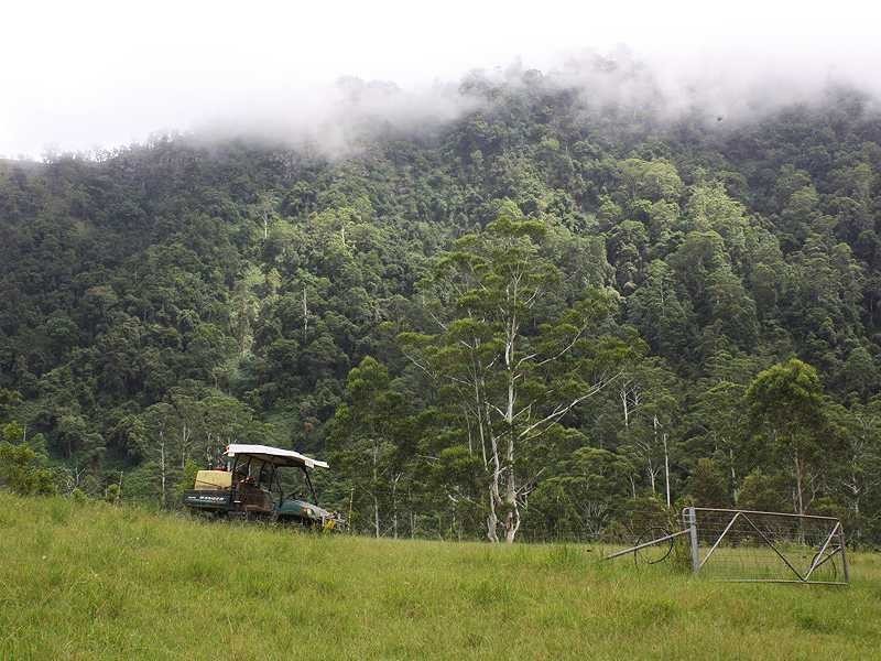 Kyogle NSW 2474