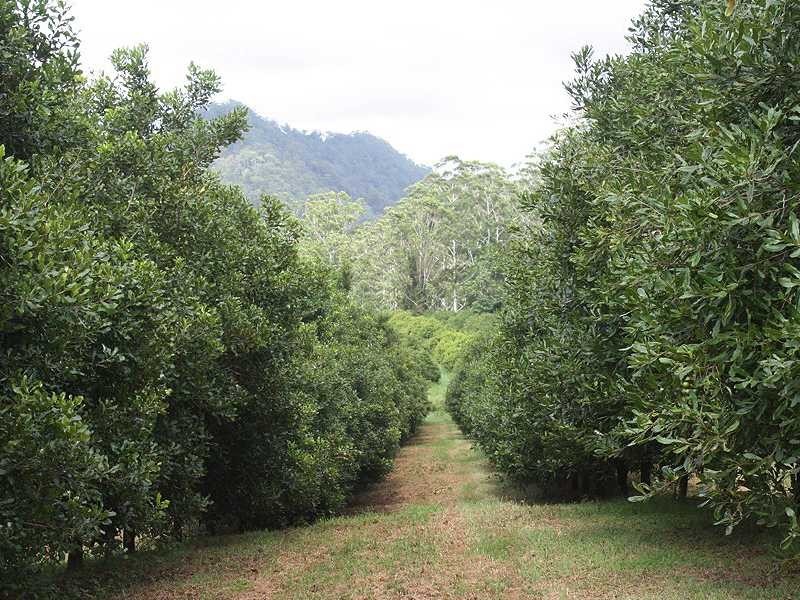 Kyogle NSW 2474