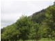 Kyogle NSW 2474