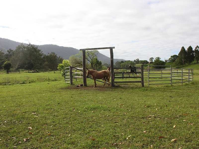 319 Ferndale Road, Lynchs Creek NSW 2474