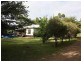 319 Ferndale Road, Lynchs Creek NSW 2474