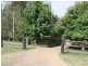 319 Ferndale Road, Lynchs Creek NSW 2474