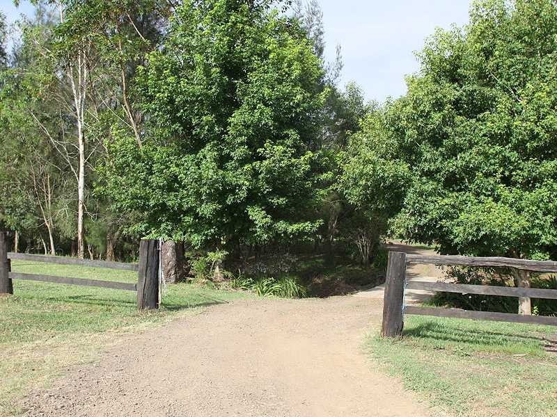 319 Ferndale Road, Lynchs Creek NSW 2474