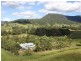319 Ferndale Road, Lynchs Creek NSW 2474