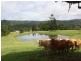 Kyogle NSW 2474