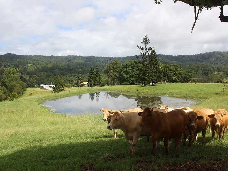 Kyogle NSW 2474