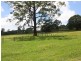 Kyogle NSW 2474