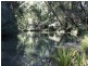 Kyogle NSW 2474