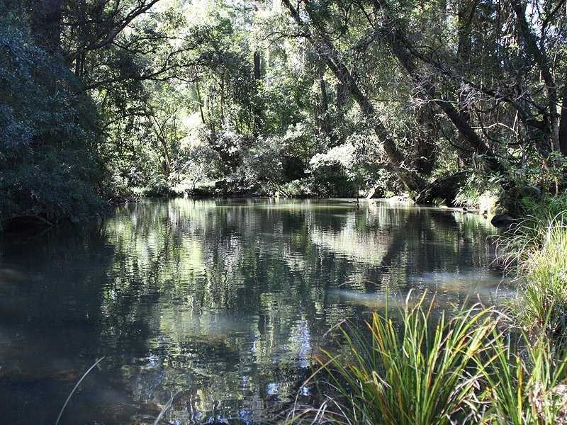 Kyogle NSW 2474